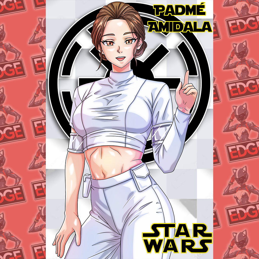 Star Wars Poster 11x17 Poster